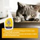 thumbnail image 4 of Aerosol Bodhi Dog 3 en 1 para entrenamiento de gatos y gatitos, 960 ml, 4 of 6