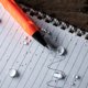 thumbnail image 4 of Mini cerrojo Pen Rite in the Rain, resistente a la intemperie, color naranja, 4 of 6