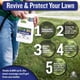 thumbnail image 5 of Neutralizador de orina para césped Turf Titan K9 Correcter 946 ml, 5 of 9