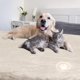 thumbnail image 2 of Manta para perros PETMAKER reversible Sherpa 150 x 180 cm, color crema, 2 of 9
