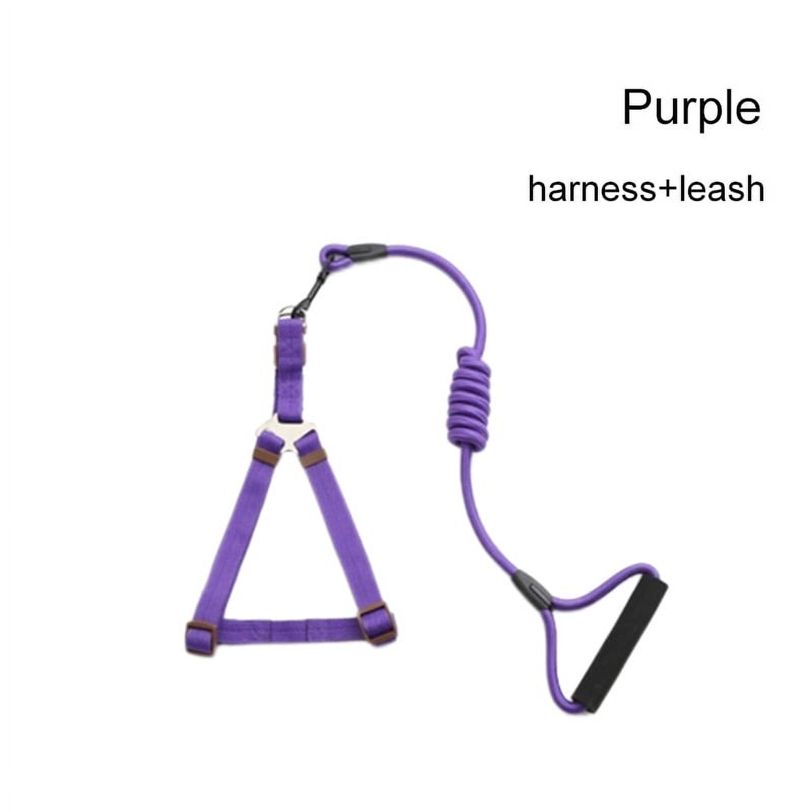 Genérico - Arnés Más Correa Para Perros Mascotas Morado