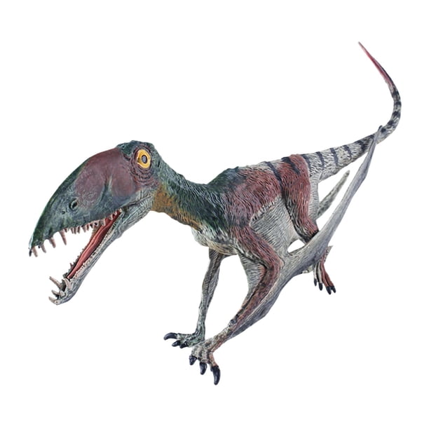 Genérico Modelo de pterosaurio: Realista de Figuras de Dinosaurio para niños, Figura de acción de pterodactilo Pintada a Mano | de Animal prehistórico Educativo para Amantes de los