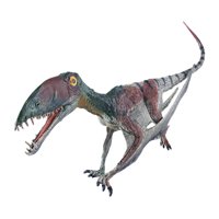 Magideal - Figura De Modelo De Pterodáctilo Realista, Colección De Juegos En Miniatura De Educación Figuras De Pterosaurio Juguetes, Para Niños Pequeños Niños Ni