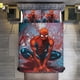 thumbnail image 3 of Juego de ropa de cama Spidean para niños, hombres y mujeres, tamaño individual, edredón, funda de edredón y fundas de almohada., 3 of 3
