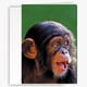 thumbnail image 1 of Tarjeta de felicitación 90210 Exotics Lindo chimpancé de 13 x 18 cm con foto, 1 of 5