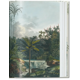 thumbnail image 3 of 40 - Martius. El libro de las Palmeras, 3 of 7
