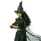 thumbnail image 2 of Muñeca de moda Mattel Universal Pictures Wicked Elphaba, 2 of 3