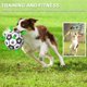 thumbnail image 3 of Pelota de Fútbol para Perros Amasiver 20 cm Juguete Interactivo de Tirón, 3 of 3