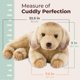 thumbnail image 3 of Peluche Golden Retriever 33 cm – Colección Bearington, 3 of 7