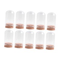 Bothyi - 10 Cúpulas De Vidrio A Prueba De Polvo Para Arreglos Florales Y Almacenamiento De Plantas, 30 Mm X 50 Mm