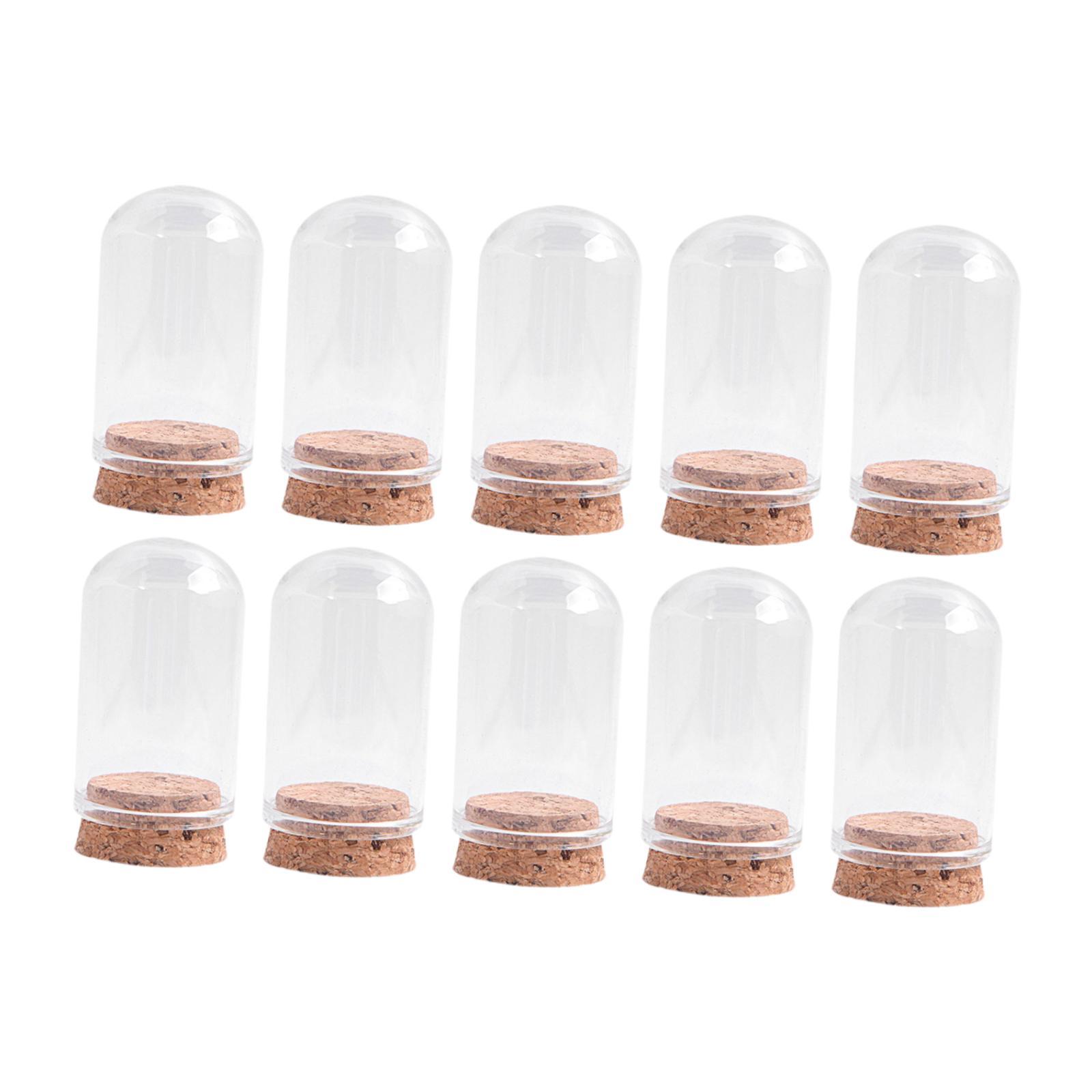 Bothyi - 10 Cúpulas De Vidrio A Prueba De Polvo Para Arreglos Florales Y Almacenamiento De Plantas, 30 Mm X 50 Mm