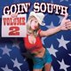 thumbnail image 1 of Álbum Razor & Tie Goin' South, Vol. 2, 1 of 1