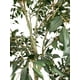 thumbnail image 2 of Árbol Ficus Hoja Chica 168cm Artificial, 2 of 3