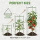 thumbnail image 5 of Tutor para tomates K-Brands, paquete de 6, 122 cm de alto, soporte para plantas, 5 of 9