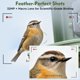 thumbnail image 3 of Comedero para aves Camojojo Hibird con cámara IA WiFi solar 4K, 3 of 9