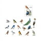 thumbnail image 1 of 30pcs/pack Cute Birds Collection Decorative Sticker, Kawaii Flamingo Scrapbooking Material, Art Label, Cute Stickers, 1 of 4