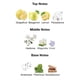 thumbnail image 4 of Perfume Moudon Eclipse Extrait De Perfume 100 ml (3.4 fl.oz), 4 of 5