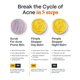 thumbnail image 5 of Sistema natural facial Norse Organics para el acné en 3 pasos, 5 of 9