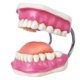thumbnail image 5 of Modelo de cuidado dental con cepillo de dientes gigante Evotech, 5 of 8