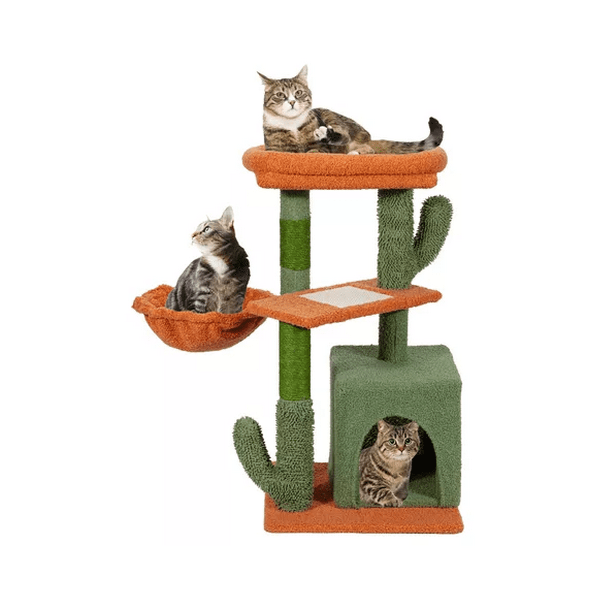 Genérico - Torre Arbol Rascador Gatos Poste Michi Cactus Verde