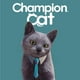 thumbnail image 2 of Cristales Sanitarios para Gato Bolsa, 1,6 Kg, 2 of 2