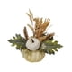 thumbnail image 3 of Adorno De Maceta De Calabaza Artificial Decoración De Maceta De Calabaza Para Escritorio Chimenea Dormitorio, 3 of 3