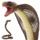 thumbnail image 4 of Figura de juguete Gemini&Genius King Cobra Safari Animal 16,5 cm, 4 of 9
