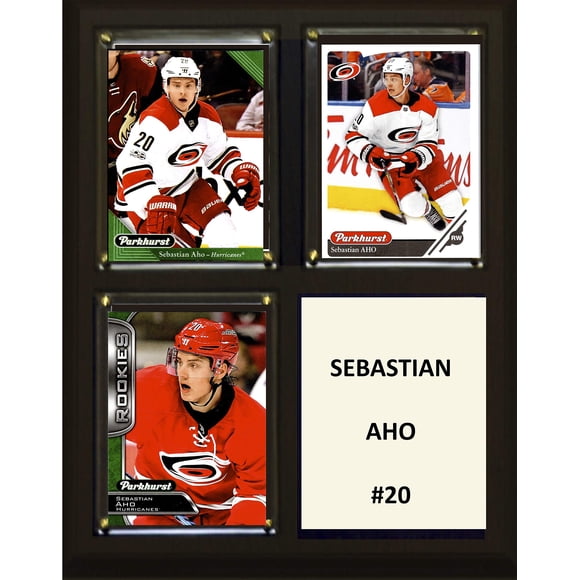 Placa C&I Collectables NHL Carolina Hurricanes, 20 x 25 cm, color marrón