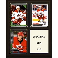 Placa C&I Collectables Nhl Carolina Hurricanes, 20 X 25 Cm, Color Marrón