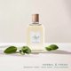 thumbnail image 2 of Perfume Ralph Lauren Polo Earth Provencial Salvia 40 ml, 2 of 6