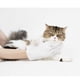 thumbnail image 5 of Pidan Guante de limpieza para Mascotas - 6 u, 5 of 5