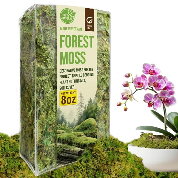 Musgo seco Garden Story Forest Moss 250 ml para plantas de interior