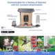 thumbnail image 3 of Comedero inteligente Feit Electric Bird Genius de 2,5 L con cámara, 3 of 9