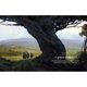 thumbnail image 2 of Reglas principales del juego RPG Compendium Free League The One Ring, 2 of 8