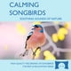thumbnail image 1 of CD The Rhythm Tree Pájaros Cantores Calmantes – Sonidos de la Naturaleza, 1 of 8