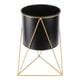 thumbnail image 3 of Maceta De Metal Para Macetas Suculentas, Soporte Para Plantas, Estilo Nórdico, Negro L, 3 of 5