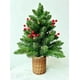 thumbnail image 1 of Mini mesa Christmas Tree Takoftly de 24 pulgadas, color verde, 1 of 3