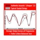 thumbnail image 3 of Cuerdas para guitarra Martin Authentic Acoustic Liffetime 2.0, 3 of 7