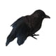 thumbnail image 1 of Cuervos Negros Falsos Artificiales, Decoración De Cuervos Emplumados Para Balcón, Patio, Césped, Estilo C, 1 of 5