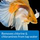 thumbnail image 4 of Acondicionador de agua API Betta Fish Freshwater 50 ml, 4 of 6