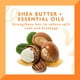 thumbnail image 5 of Cantu Crema Hidratante Diaria con Aceite con Manteca de Karité, 13 fl oz, 5 of 7