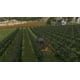thumbnail image 2 of Videojuego Farming Simulator 23 Nintendo Switch, 2 of 9