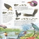 thumbnail image 3 of 501 preguntas y respuestas sobre los animales, 3 of 4