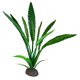 thumbnail image 2 of Planta Artificial Fluval Betta Trompeta de Agua 20 cm, 2 of 2
