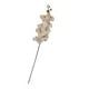 thumbnail image 1 of Planta Decorativa Orquidea De 8 Flores 100Cm, 1 of 2