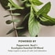 thumbnail image 5 of Aceites esenciales Peace of Mind de Perfume Origins que ayudan a relajar 15 ml, 5 of 7