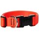 thumbnail image 1 of Collar para perros LupinePet Basics de 1 pulgada, naranja intenso, 12 a 20 pulgadas, ajustable, 1 of 2