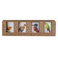Andes1 - Set De 4 Tazas De Pájaros N°2