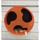 thumbnail image 3 of Nutrición exótica regular para animales pequeños de Wheel Silent Runner 12, 3 of 9