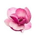 thumbnail image 1 of Testkoke, 1 of 1